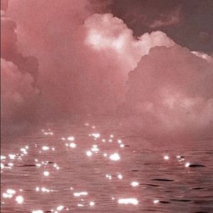 Meet your Posher, Bella